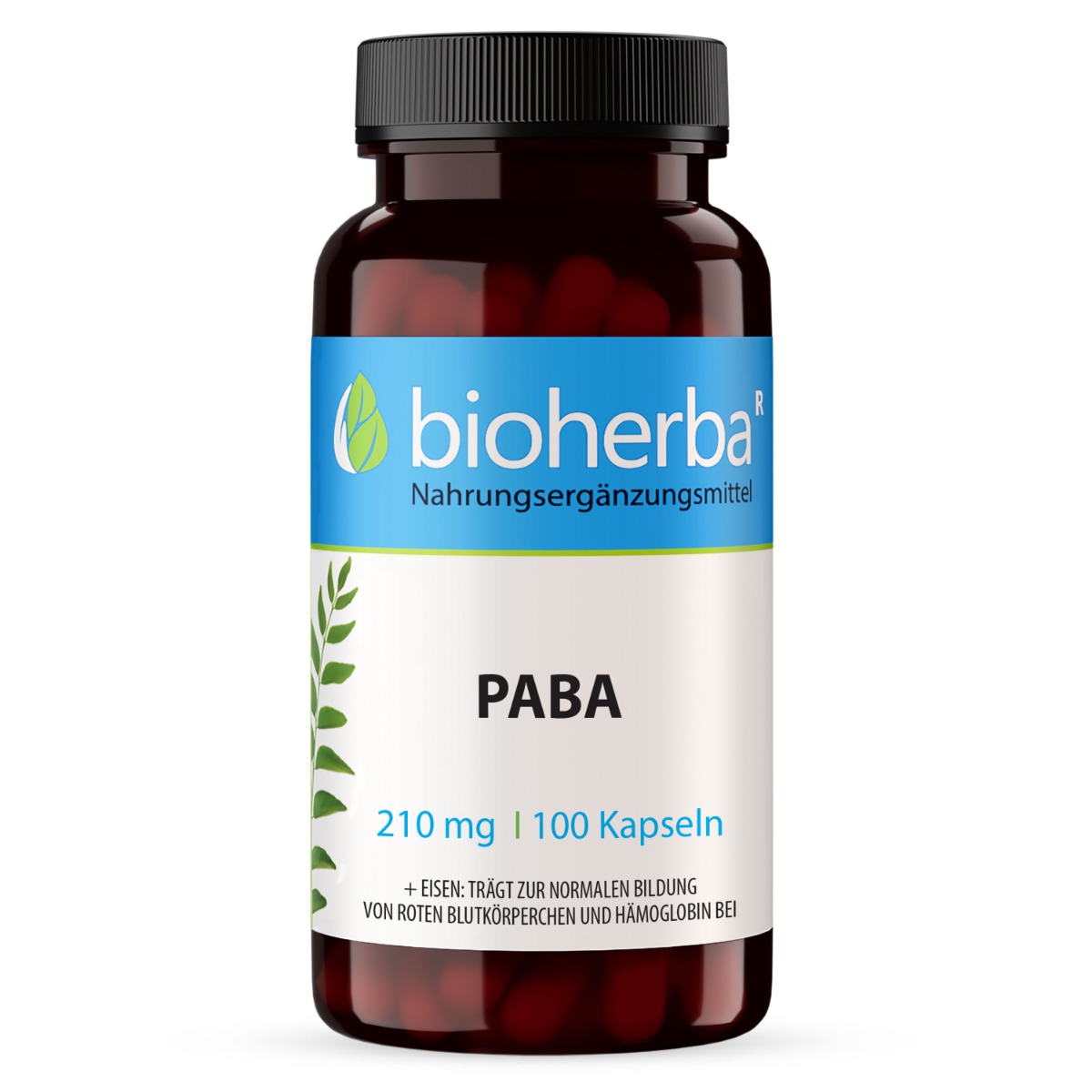 21981-paba-210-mg-100-kapsul