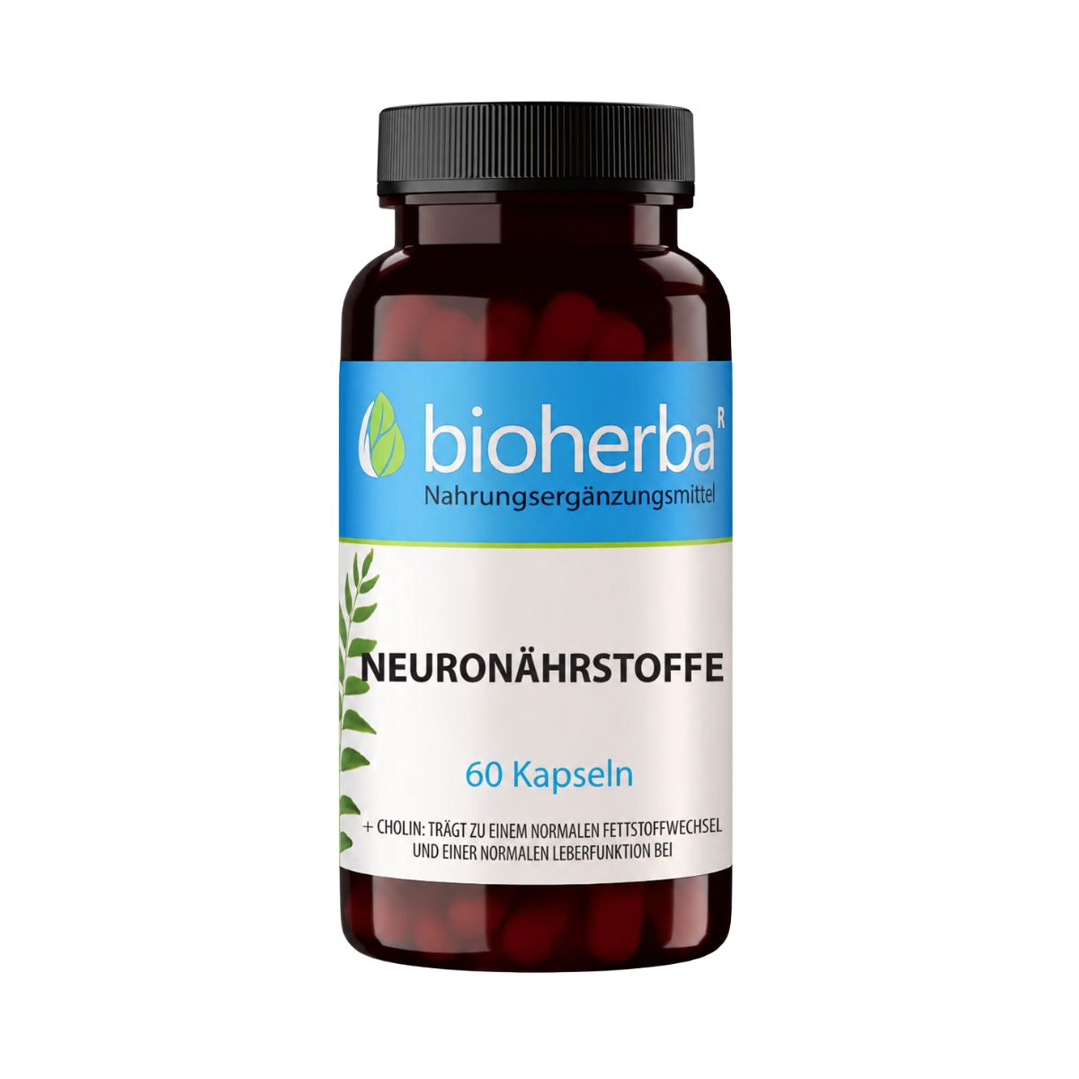 21990-neuroziviny-100-kapsul-bioherba
