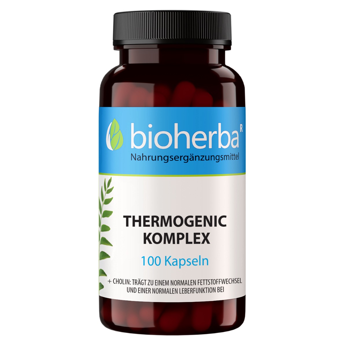 21999-termogenny-komplex-100-kapsul