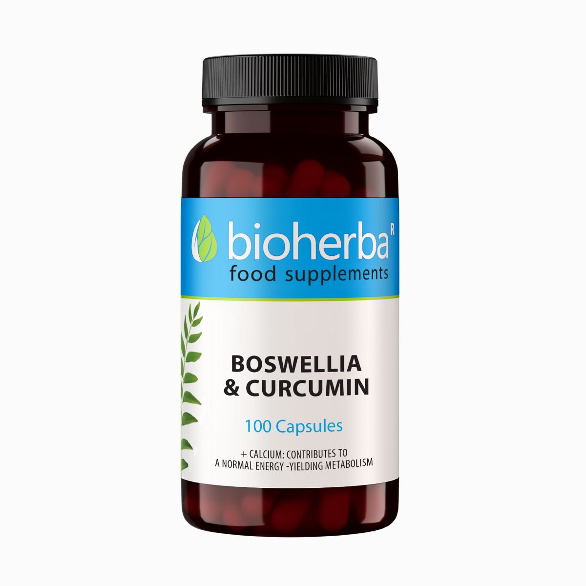 22194-boswellia-kurkumin-100-kapsul-bioherba