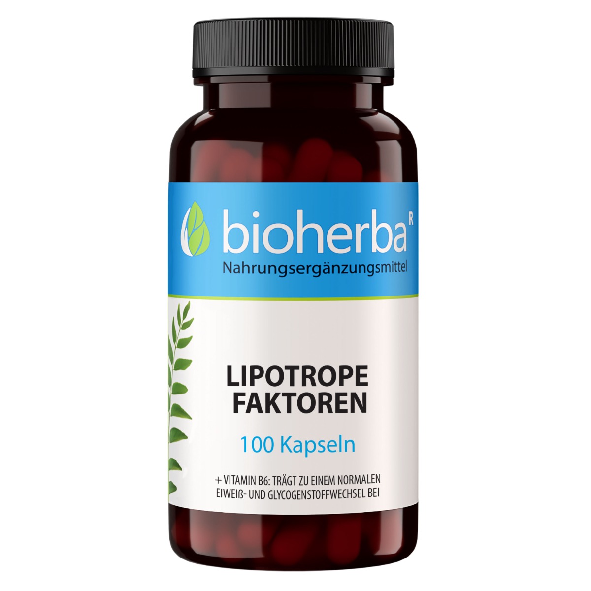 22200-lipotropne-faktory-100-kapsul