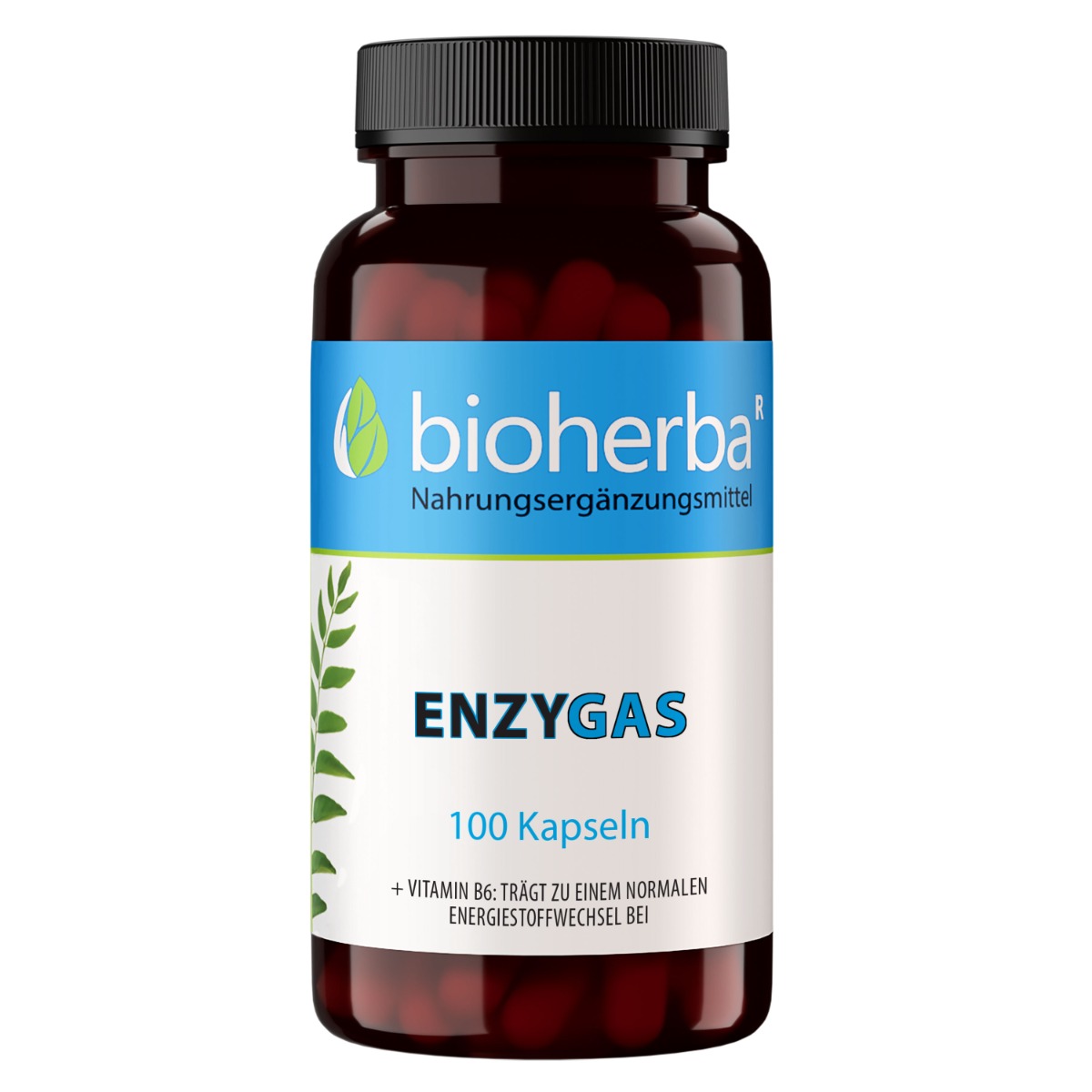 22215-enzygas-kapsuly-100-kusov