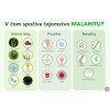 V čom spočíva tajomstvo Malahitu infografika