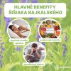 sk sisiak hlavne benefity