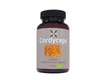 cordyceps 1