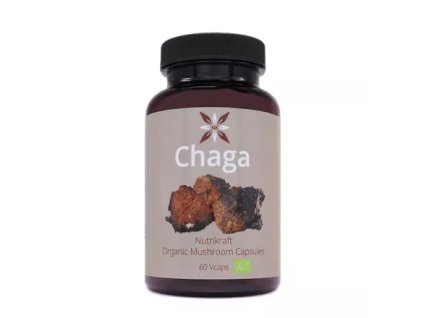 chaga 1