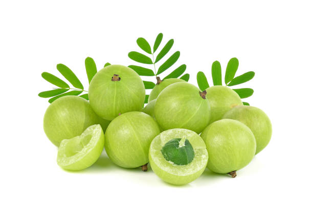 Amalaki: Jaké má účinky na zdraví a proč je označován za superpotravinu?