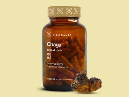 21 chaga
