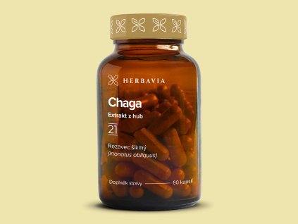 Chaga