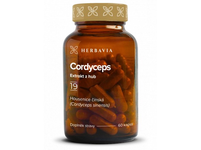 cordyceps