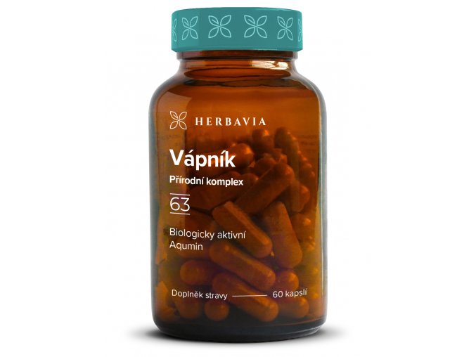 63 vapnik kopie