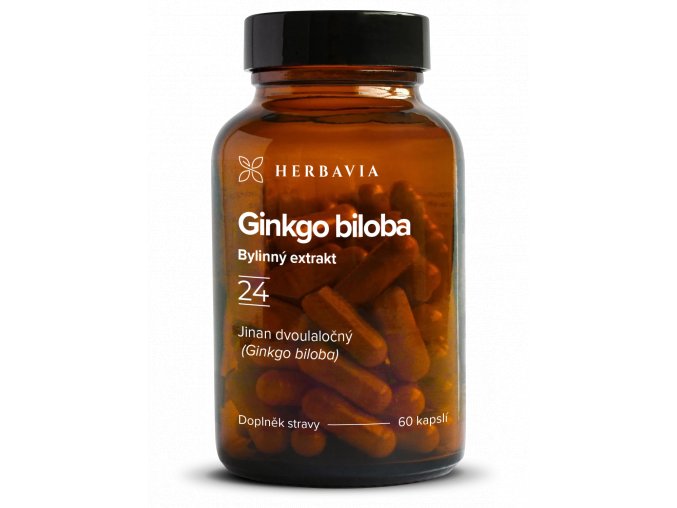 Ginkgo biloba