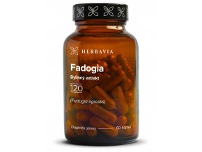 fadogia kopie