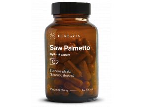 saw palmetto