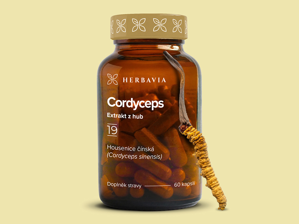 Levně Cordyceps bylinný extrakt - 60 kapslí / Herbavia.cz