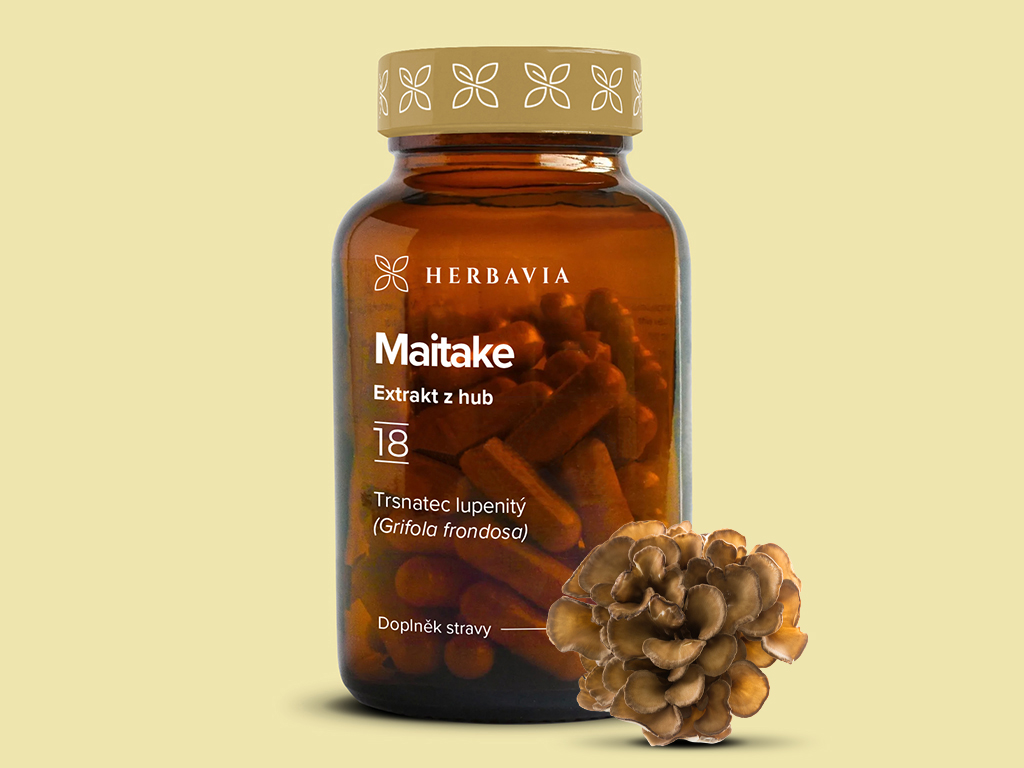 Levně Maitake extrakt z hub - 60 kapslí / Herbavia.cz