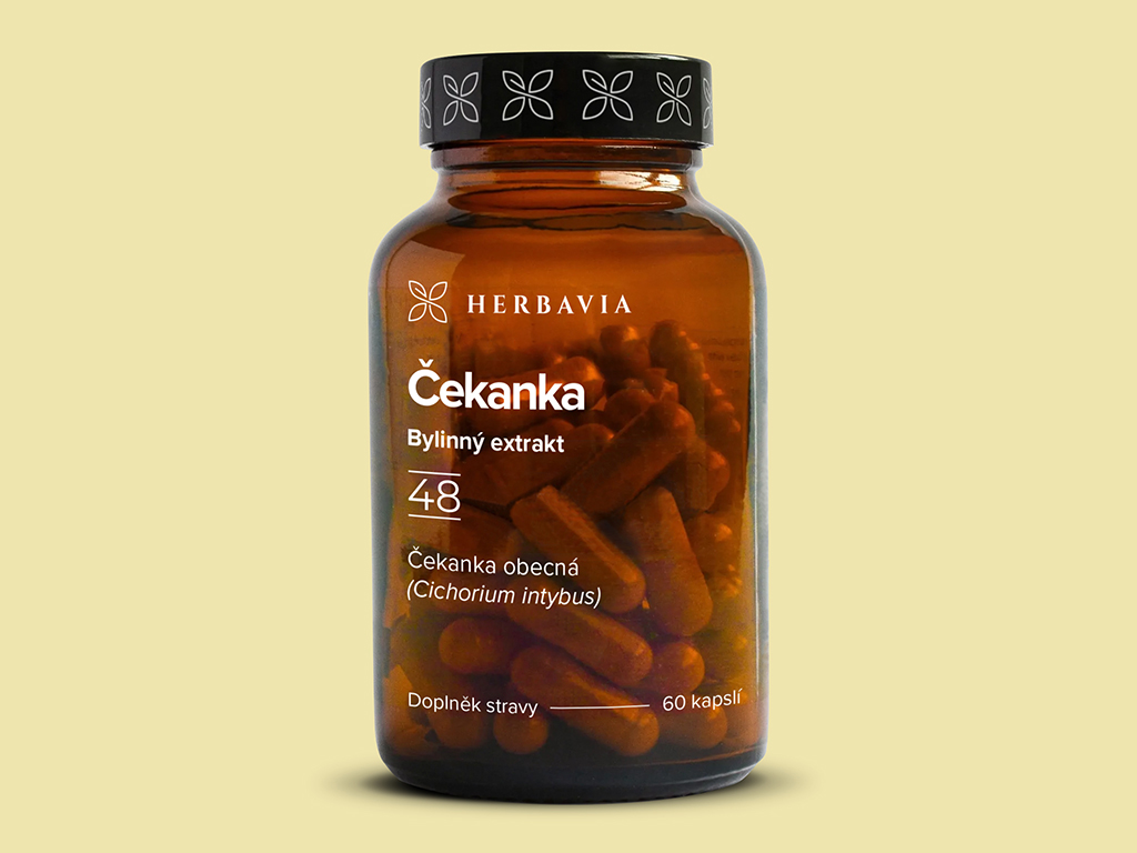 Levně Čekanka bylinný extrakt - 60 kapslí / Herbavia.cz