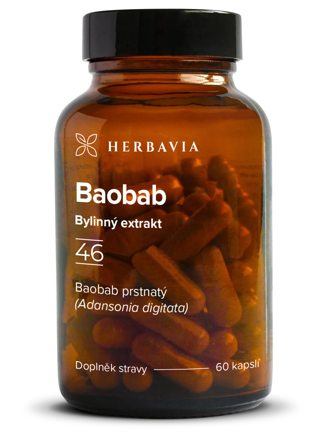 Herbavia Baobab