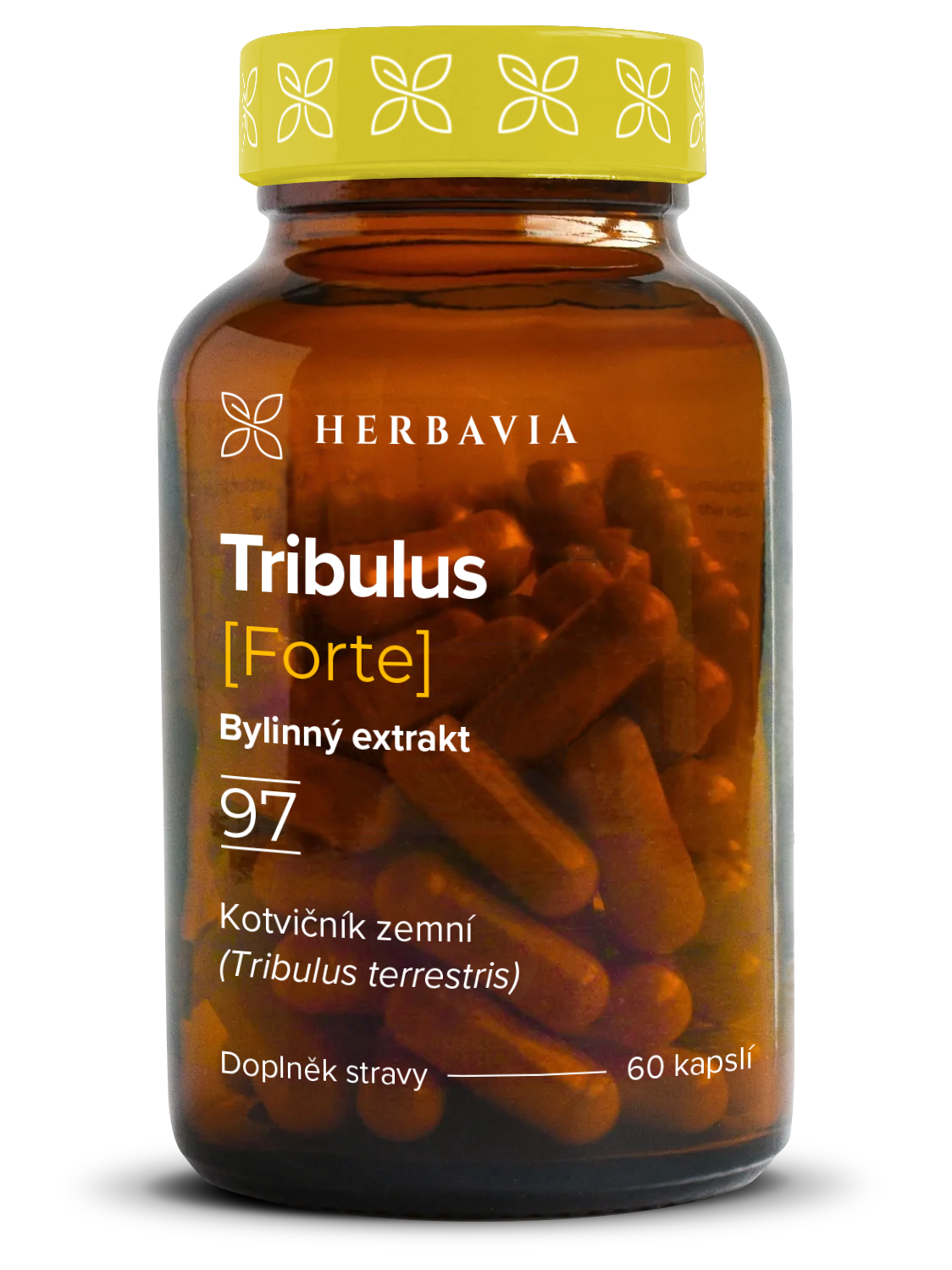 Tribulus forte - bylinný extrakt 90% saponinů - 60 kapslí / Herbavia.cz