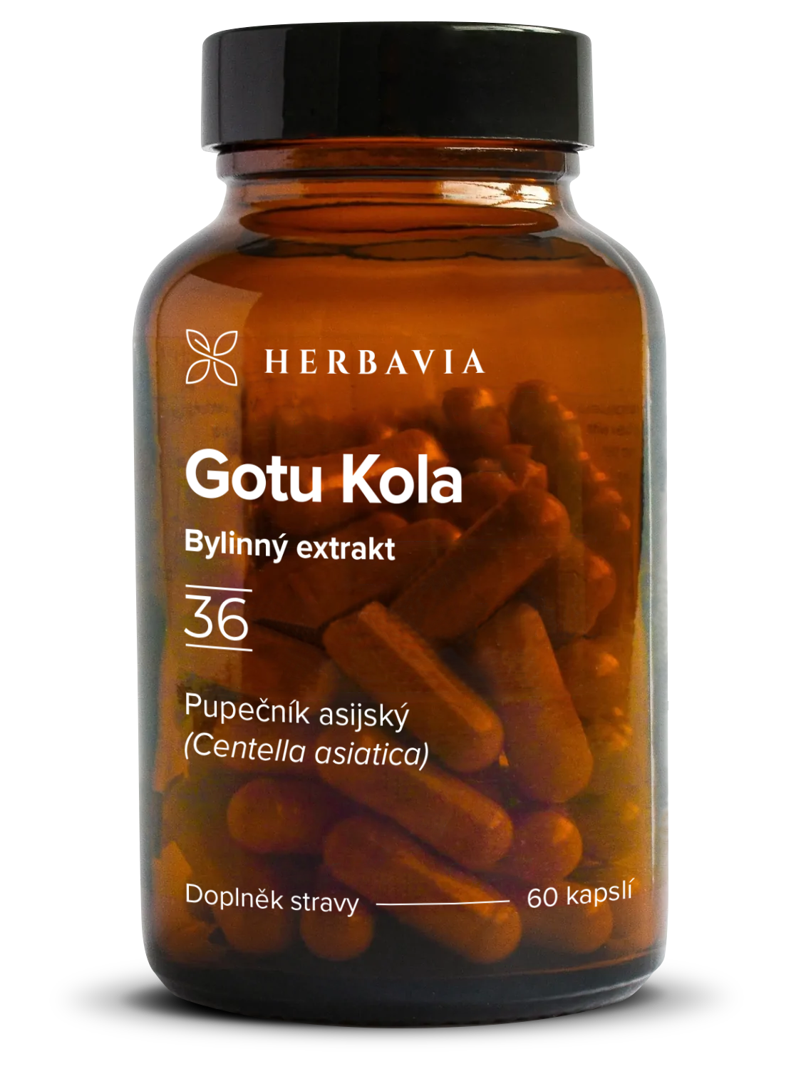 Gotu Kola - bylinný extrakt - 60 kapslí / Herbavia.cz