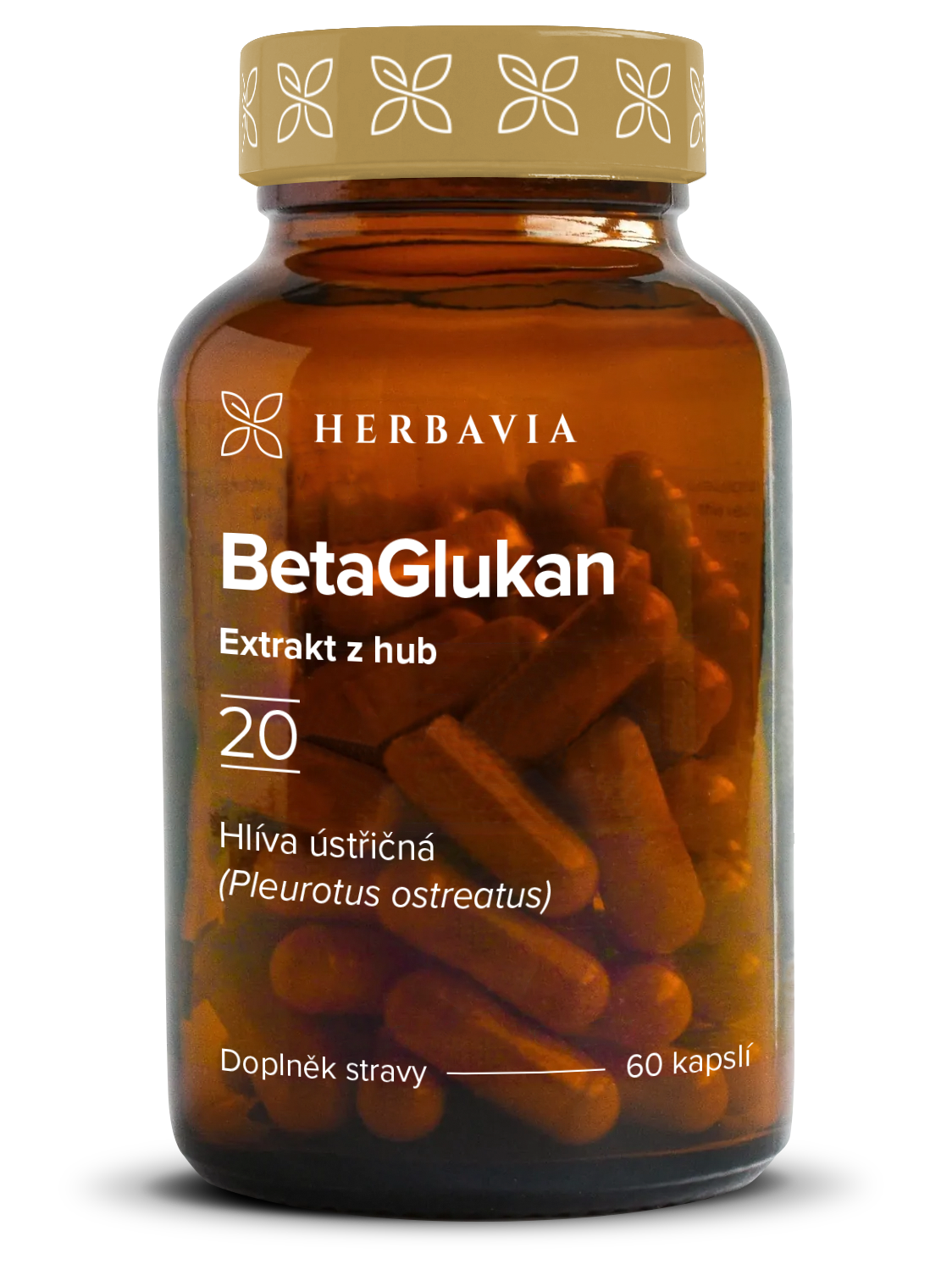 Beta 1,3 D glukan - extrakt z houby- Hlíva ústřičná - 60 kapslí / Herbavia.cz