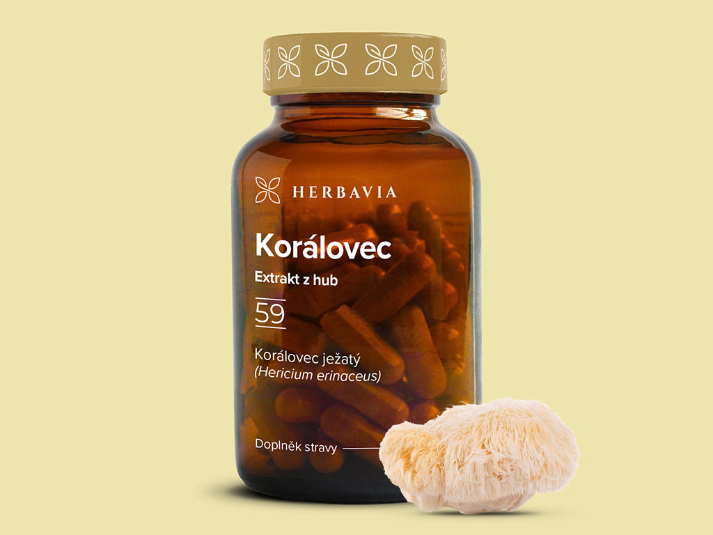 Levně Korálovec ježatý - extrakt - 60 kapslí / Herbavia.cz