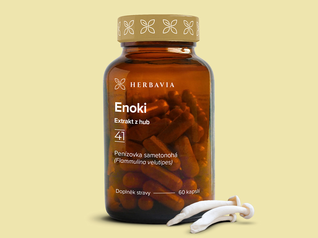 Levně Enoki extrakt z hub- 60 kapslí / Herbavia.cz