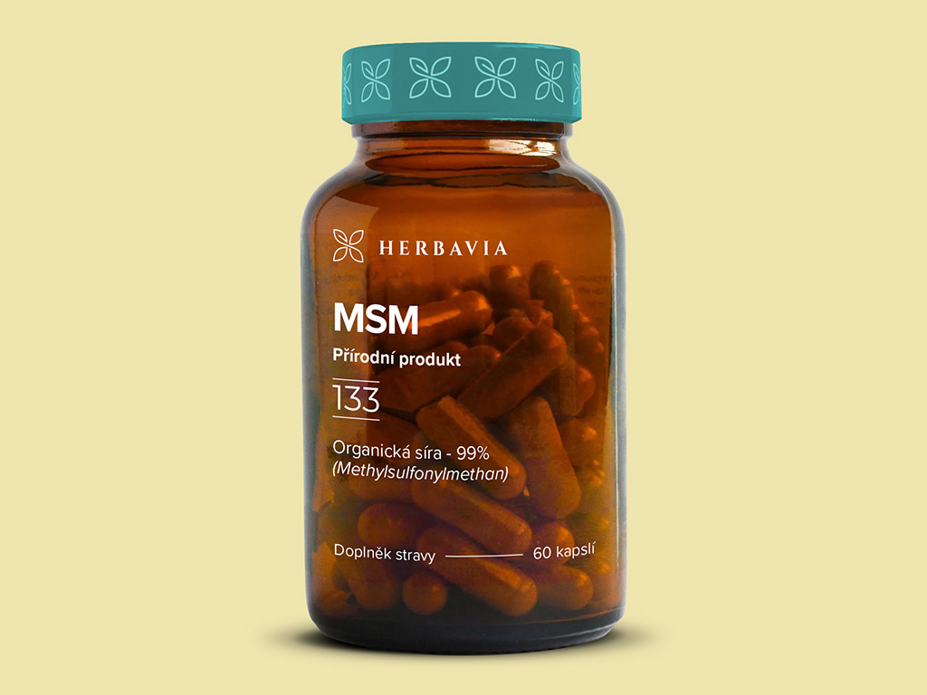 Levně MSM- přírodní produkt - 60 kapslí / Herbavia.cz