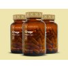 3x chaga