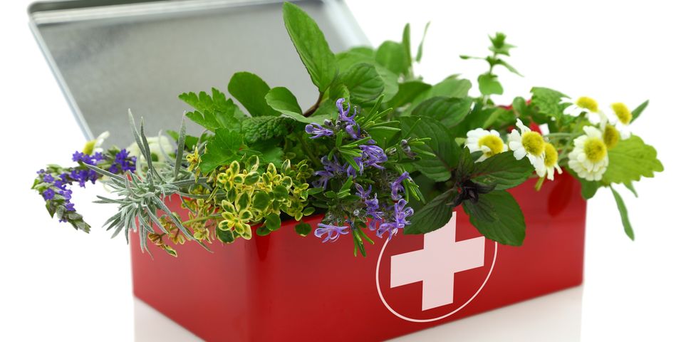 Sangre de Drago - Dračí krev:  pomocník doma i na cestách!