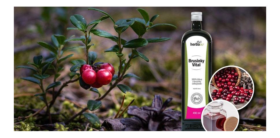 Víte o tom, že kondice našich ledvin nám ovlivňuje délku života?