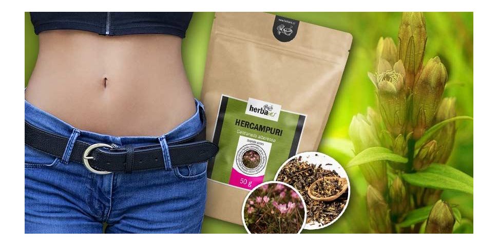 Připravte své trávení na nadcházející Vánoce