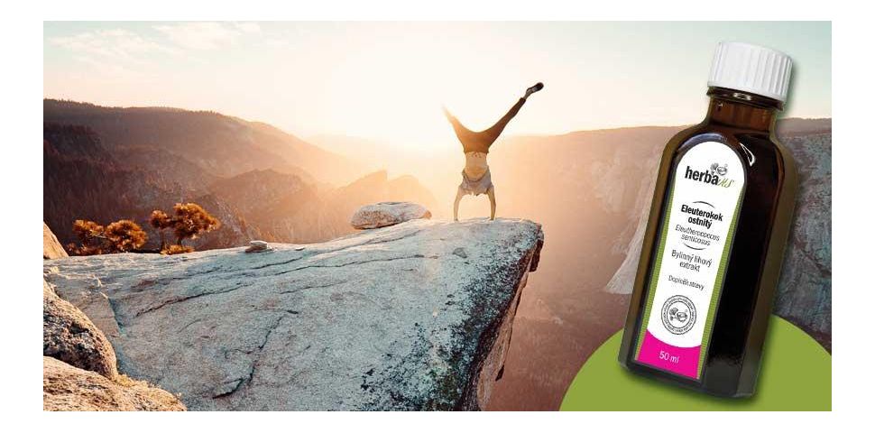 Eleuterokok ostnitý (sibiřský ženšen) zatočí se stresem