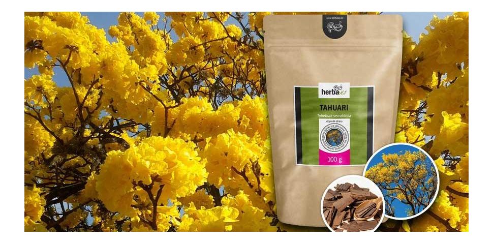 Lapacho (Tahuari): Amazonský "Strom života" pro silnou imunitu a vitalitu!