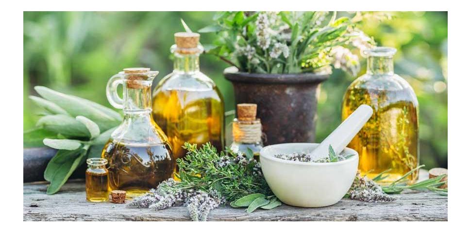 Léčba bylinami - fytoterapie a kdo ji může používat?