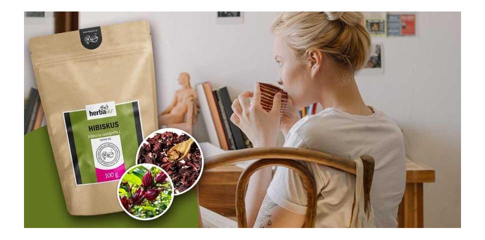 Ibišek súdánský - osvěžení i zdroj zdraví