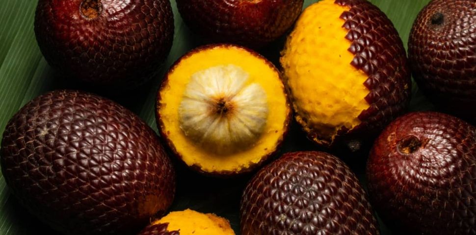 Aguaje (Palma mauritia) - původ, vlastnosti a použití.