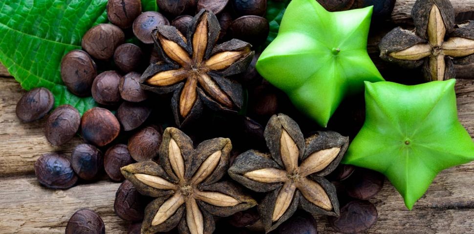 Sacha Inchi - Omega 3-6-9 - původ, vlastnosti a použití!