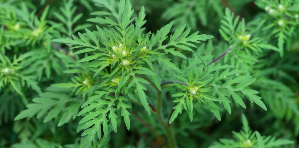 Nenechte se ovládat strachem a stresem