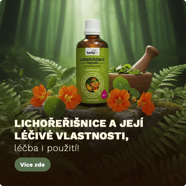 Banner Střed - Blog - Lichořeřišnice - Desktop