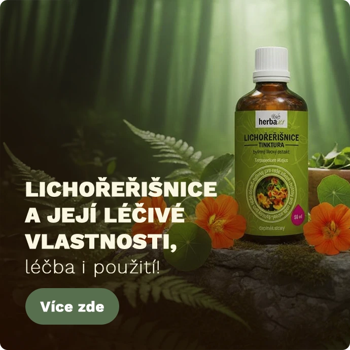 Banner Střed - Blog - Lichořeřišnice - Mobil