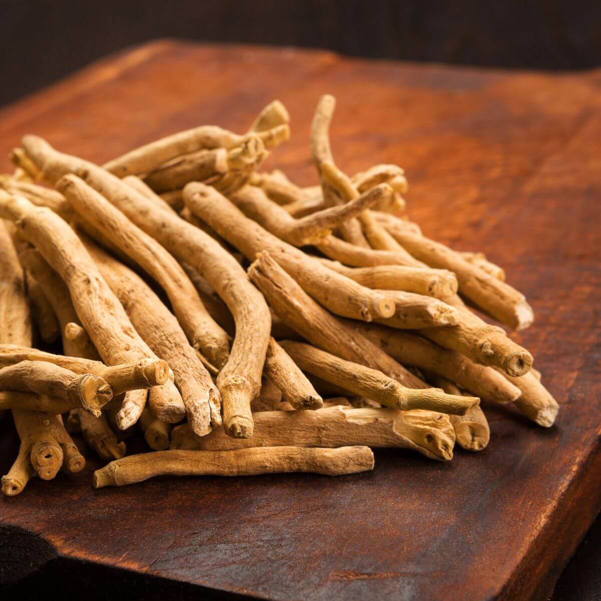 List a plod byliny Ashwagandha