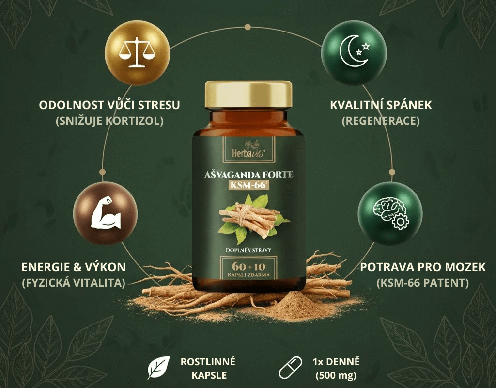 Ašvaganda KSM-66 Forte - Indický ženšen - Infografika