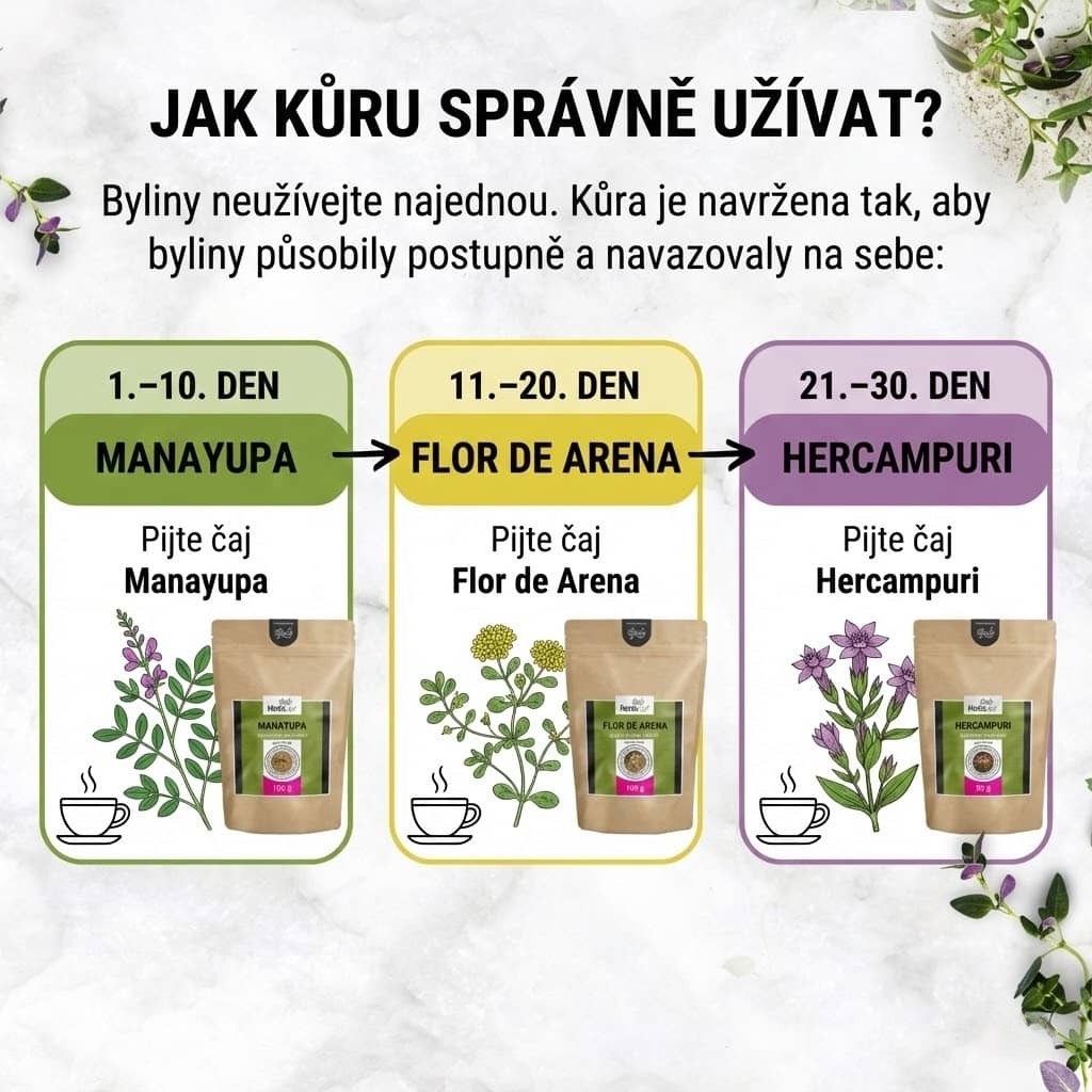 Harmonogram 30denní detoxikace