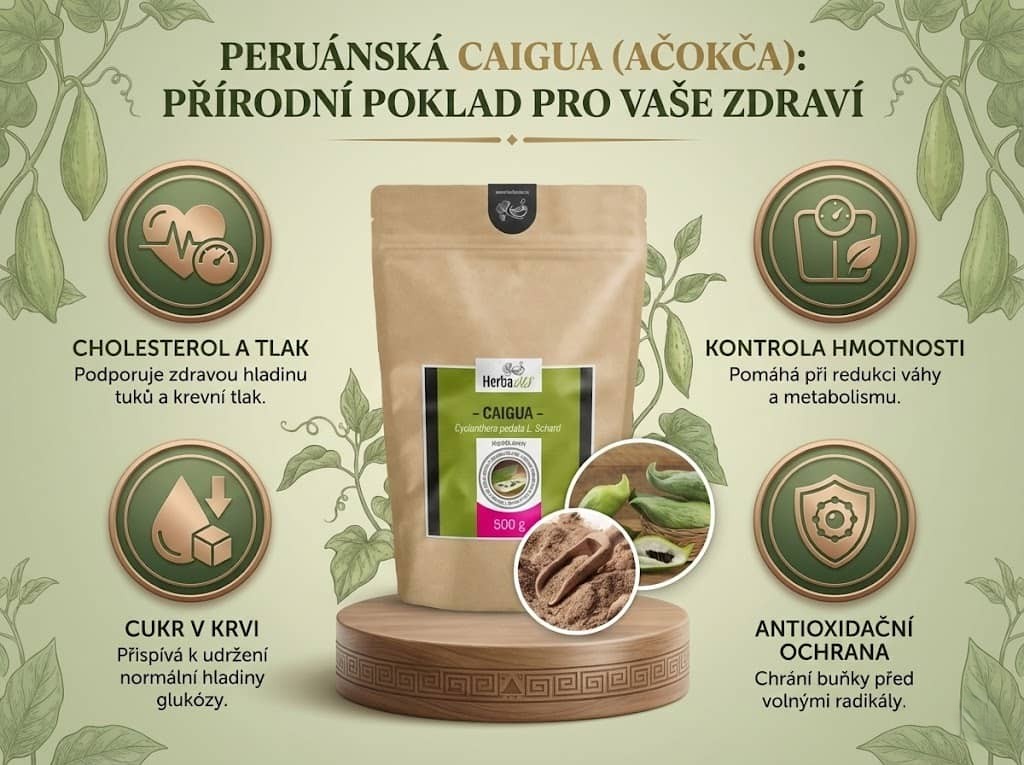 caigua_500g_cz_infografika_01