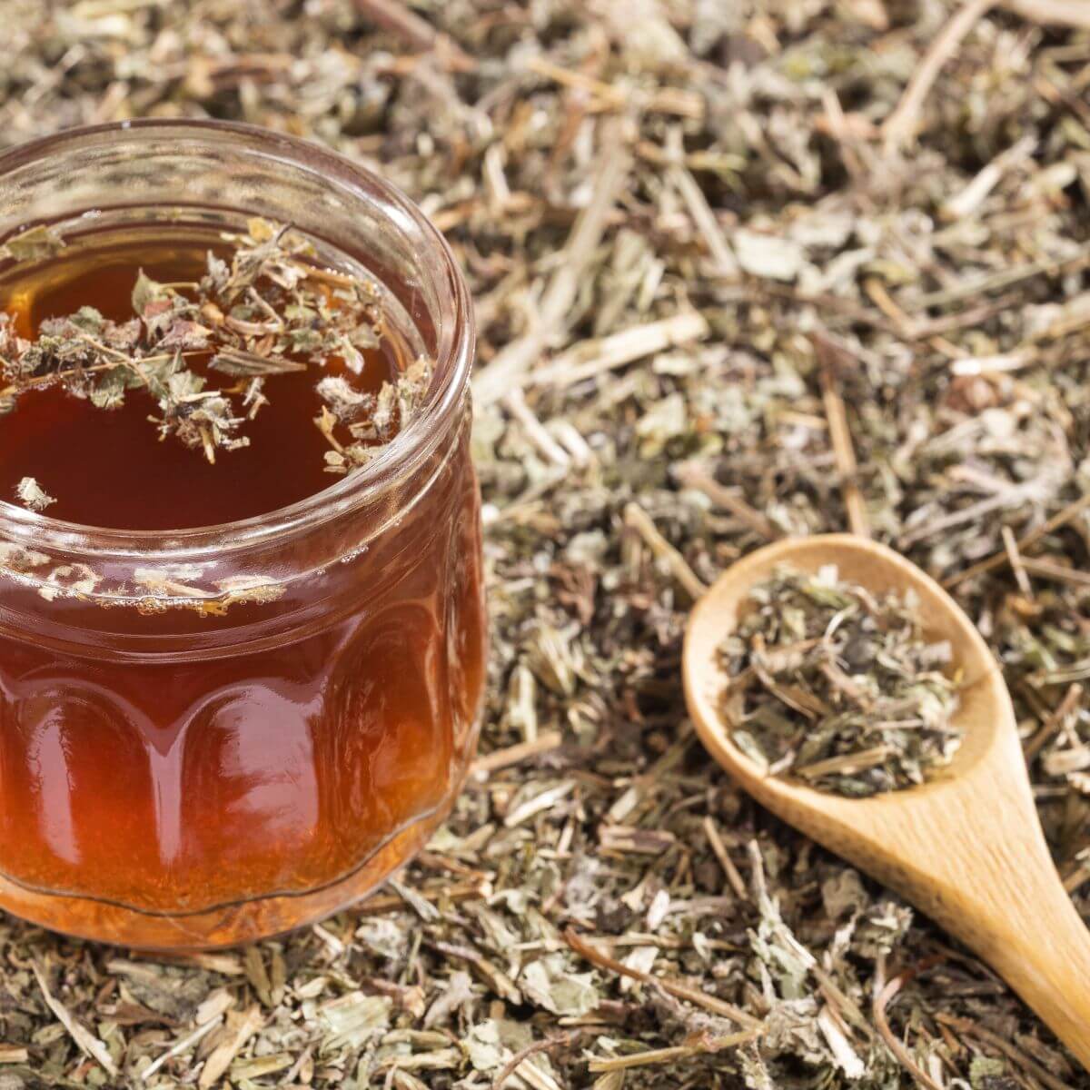 Správná příprava a dávkování odvaru z Chanca Piedra