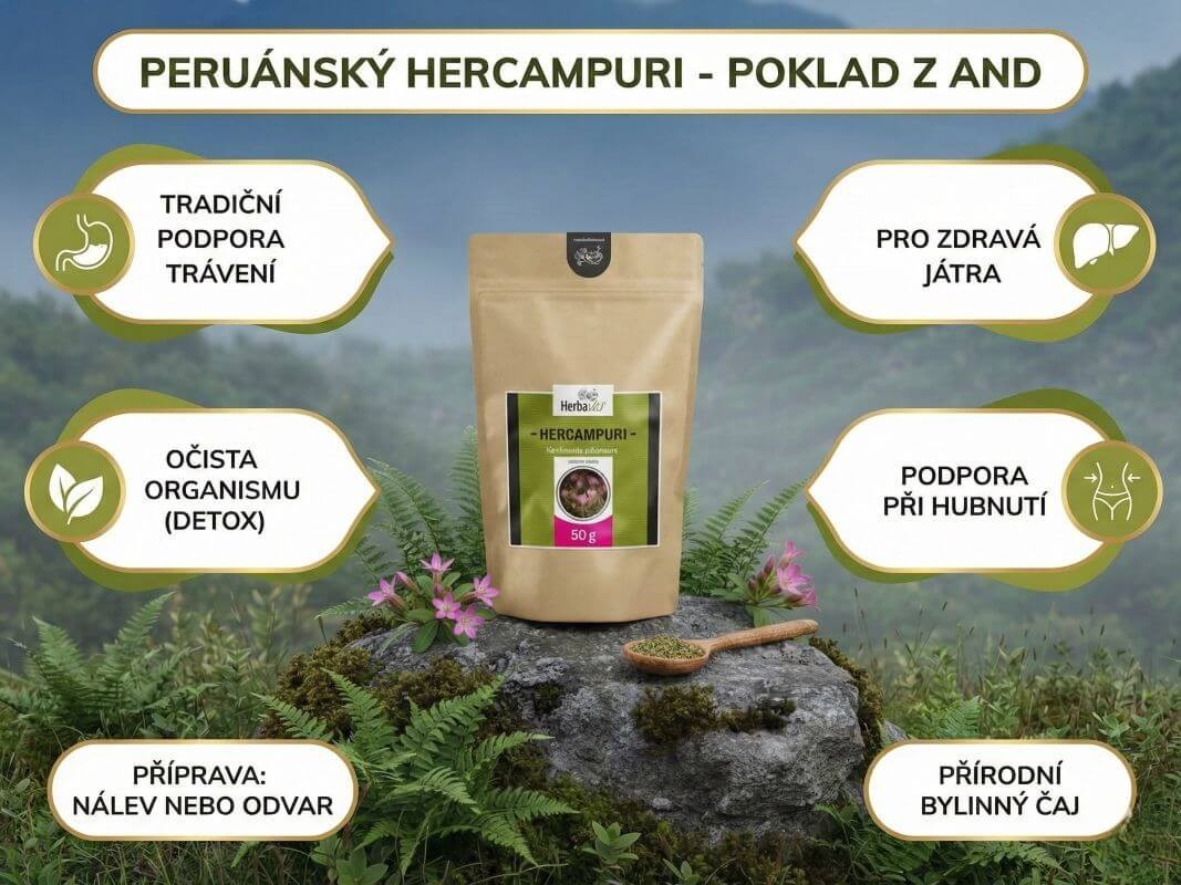Hercampuri sušená bylina infografika