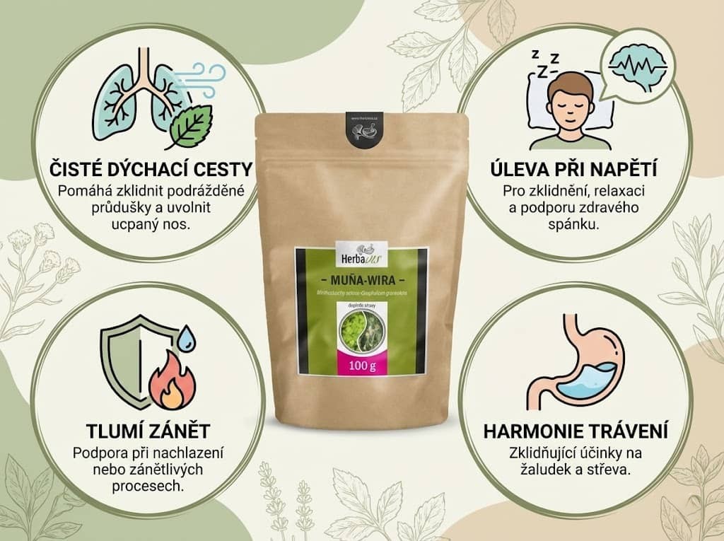 Muňa-Wira infografika