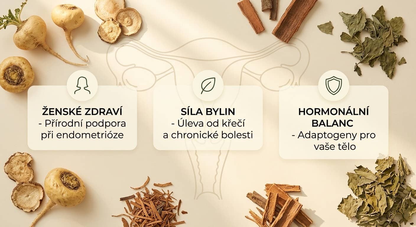 Infografika léčby a endometriózy