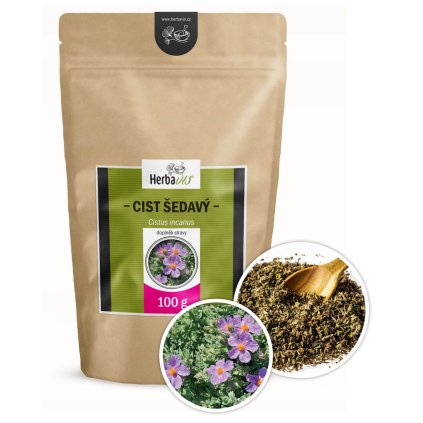 cist cz vizualizace 01